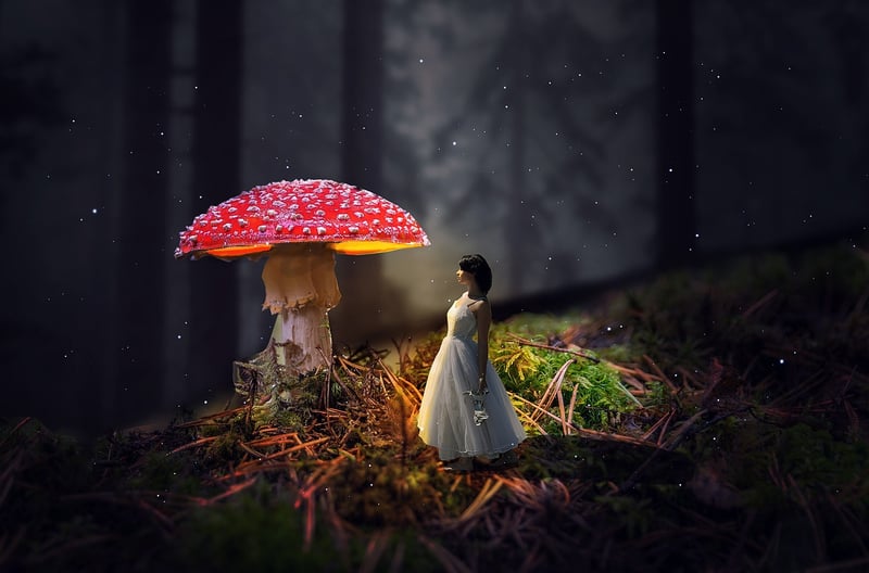 Magic Forest